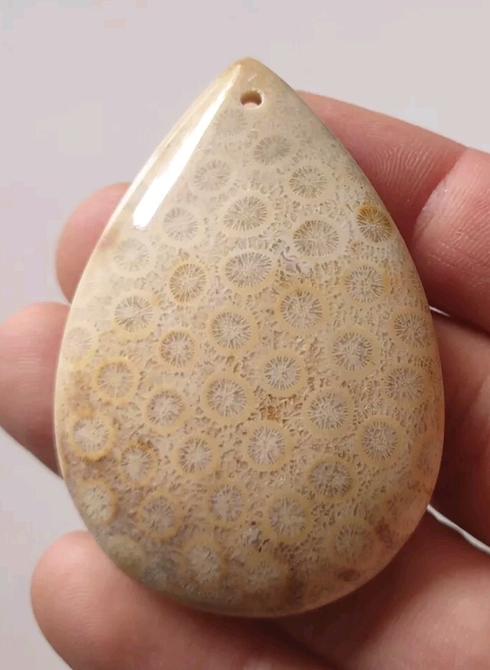 100% natural coral fossil pendant
