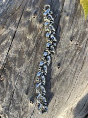 ( LISNER) Vintage Fashion Crystal & Diamond Looking Silver Tone Bracelet