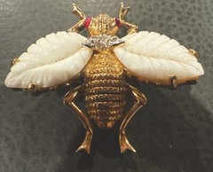 Jomaz Gold and white wings Fruit Salads Bug fly beautiful and rare!!