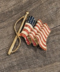 4th of July Vintage & Contemporary USA America Brooch Pins Lapel Pins
