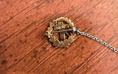 Vintage White And Yellow Gold Diamond Eastern Star / Masonic Pearl Pins 14k