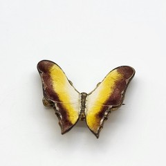 Amazing Realistic enamel Butterfly Brooch pin Estate Jewelry Insect