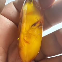Pendant Amber Baltic Egg Yoke Big 2.25” Piece 15.5 Grams Antique