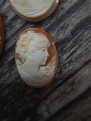 Vintage Cameo Profile Gorgeous Shell Carved Floral adorned Victorian Lady Lot