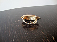 VTG HANDMADE NATURAL LACQUERED SEASHELL GOLD PLATED HINGED DRESS/SCARF CLIP