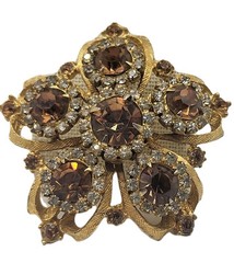 2-Pc Edlee Champagne & Ice Rhinestone Crystal Vintage Pin Brooch & Earrings Set