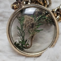 Vintage Preserved Seahorse Bubble Charm Fob Gold Tone Bracelet Jewelry Beach