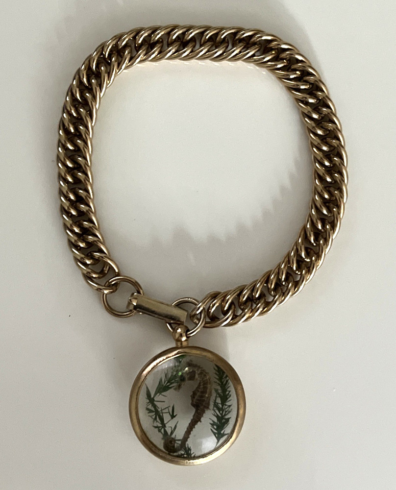 VTG Preserved Seahorse Bracelet Lucite Charm Fob Gold Tone 7″