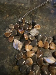 Black Brown Plastic Beads And Stone Bib Necklace