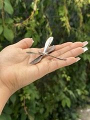 Whimsical Vintage Sterling Silver Dragon Fly Brooch 17.14 Grams