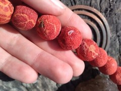 Antique Victorian Red Coral Beaded Necklace 5.3 oz 26 In Silver Heart Clasp