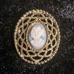 Signed Sarah Coventry Womens Oval Cameo Portrait Brooch Pin Gold Tone Blue/White
