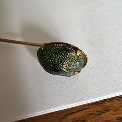 Antique Victorian Egyptian Revival Scarab Jewel Beetle Stick Pin circa 19th Cent