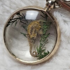 Vintage Preserved Seahorse Bubble Charm Fob Gold Tone Bracelet Jewelry Beach