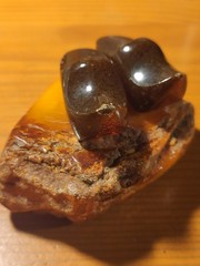 OLD BALTIC AMBER BROOCH 37.8 gr.