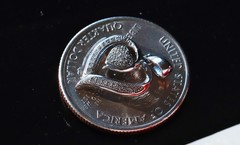10k white gold pendant 0.10ct natural diamond heart charm vintage 1.16gr N3318