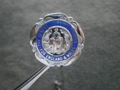 General Nursing Council England & Wales Vintage Enamel Lapel Pin Hat Badge 9.6g