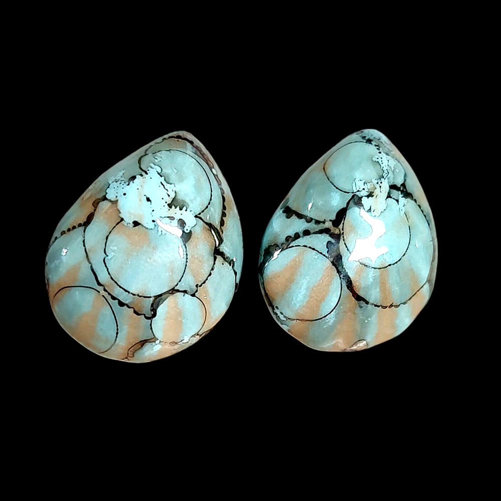 Chunky Ocean Blue Boho Coastal Sea Shells Statement Everyday Earrings 1.25″