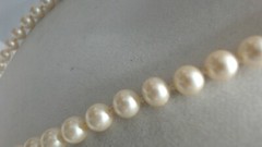 Vintage Long Creamy Beige Knotted Glass Bead Necklace Seashell Clasp 37″