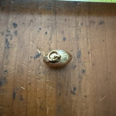Vintage Football Pendant / Charm / Necklace / Jewelry / Sports
