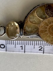 Ammonite Fossil Gemstone Bezel Set 1.75” Pendant 925 Sterling Silver 9.45g Vtg.