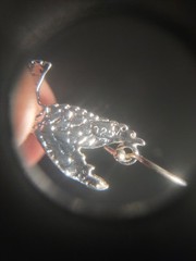 2.0 Grams Sterling Silver rhodium Finished Eagle Earrings Dangle Style