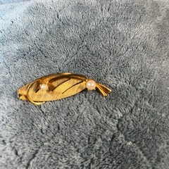 Vintage Leaf Brooch Gold Tone With 2 Faux Pearls, Nature Cottage Garden