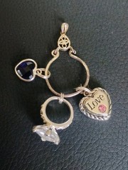 Lot Of Sterling Silver 925 Jewelry Charm Holder & Charms 7g