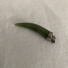 VTG 1950s Natural Jade Horn Tusk Pendant Silver Tone Bail Classy Retro ✳️