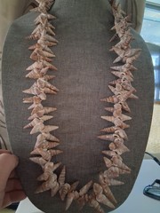 Polynesian seashell vintage ceremonial necklace 36 in. tropical, beach