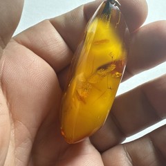 Pendant Amber Baltic Egg Yoke Big 2.25” Piece 15.5 Grams Antique