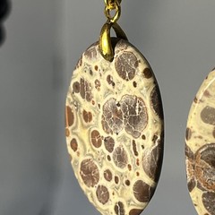 Lg Oval Asteroid Jasper Gold French Wire Earrings Natural Gemstone Earthy Casual