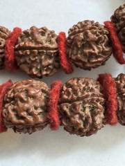 Vintage Natural 5 Mukhi Blessed Rudraksha Beads Yoga & Meditation Mala 40”inch