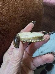 Vintage Shell Cameo Brooch Pendant