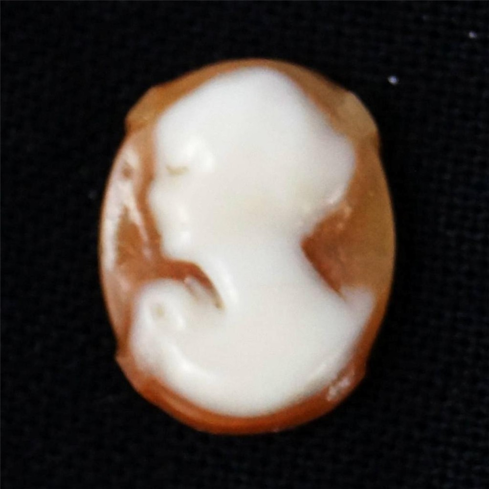 Cameo Brooch Inset Amber & White Vintage Jewelry