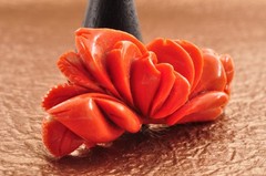 Red Coral OBIDOME carved “Rose” and Certificate ( 56mm ( 2.20in) total 121.5ct).