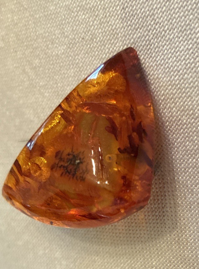 Small Vintage Amber insect fossil Pin Brooch 1.5”