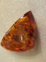 Small Vintage Amber insect fossil Pin Brooch 1.5”