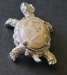 Vintage Petoskey Stone Silvertone Turtle Tortoise Brooch Pin Fossilized Coral