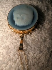 Onyx Cat Round Cameo Blue White Round Pendant 14K Gold Surround 3.6 G