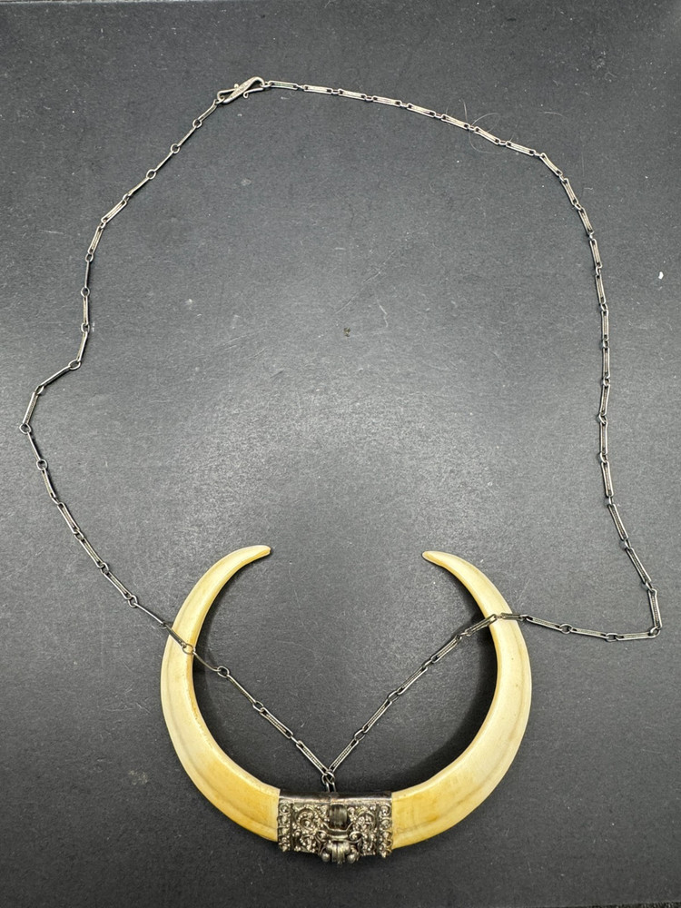 Vintage 19th Century Bear Double Tusk Pendant & Chain