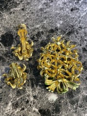 Vintage Rhinestone Gold Tone Enamel Flower Brooch Pin Clip Earrings Set YD-48