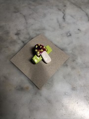 Handmade Polymer Clay Pin/brooch