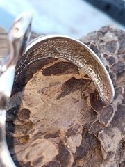 Year Of The Horse ~ Beautiful Vintage Sterling Horse Cuff