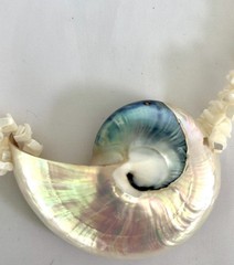 Mother of Pearl 3 Twisted Strand Nautilus Shell 10.5” Necklace w/Barrel Closure