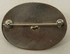 Vintage Silver Tone 3-Dimensonal Cicada Oval disk Pin/Brooch 1-1/2″ x 1-1/8″