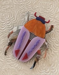 Vintage style large beetle acrylic brooch pin