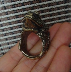 Vintage Style Solid Brass Frog Ring Tiger Stripe Design (20MM) US 10