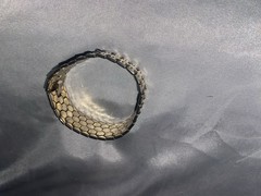 Vintage Crown Trifari Gold Bracelet Honeycomb/ Hexagon Design