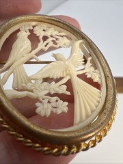 Vintage France Depose Celluloid Bird Brooch Trombone Clasp